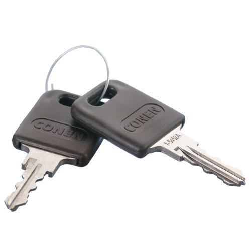 Ersatzschlüssel (2 Stück) (keine Standard-Schließung 310)
