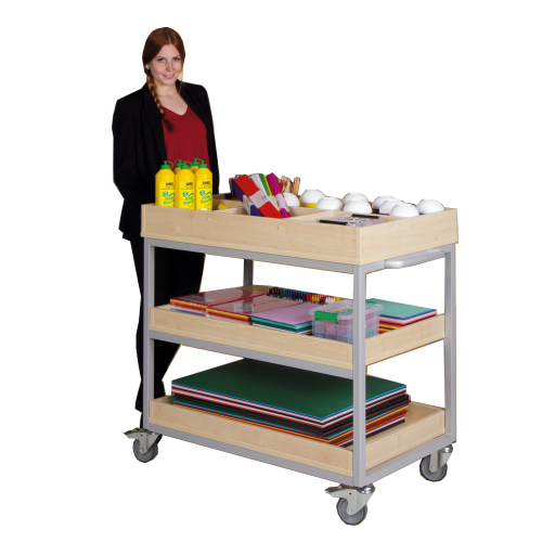 Vorbereitungswagen mit 2 Ablageböden, 6 Fächern oben, fahrbar B/H/T: 100x96x60 cm, mit Aufkantung