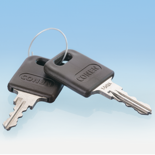 Ersatzschlüssel (2 Stück) (keine Standard-Schließung 310)